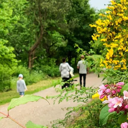 12 Person In Nyaraló